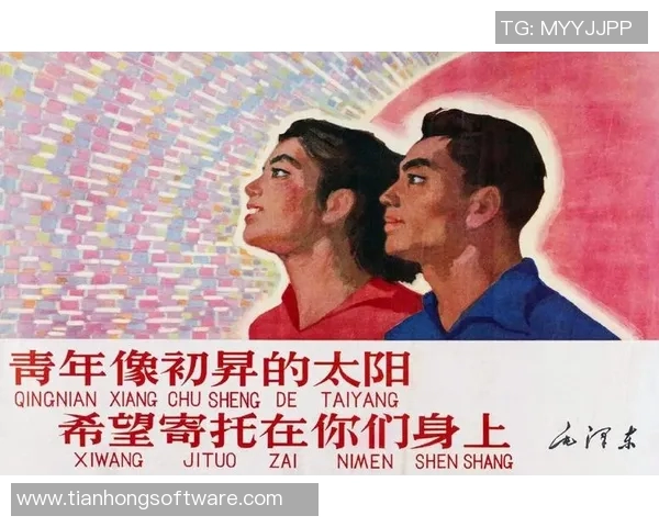 个人英雄主义与团队协作的辩证关系探讨与思考