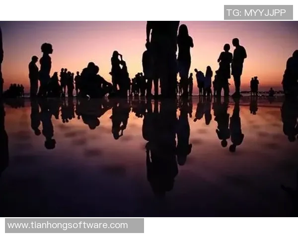 维斯卡与社会的碰撞：探索个体与集体之间的复杂关系与冲突