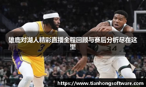 雄鹿对湖人精彩直播全程回顾与赛后分析尽在这里