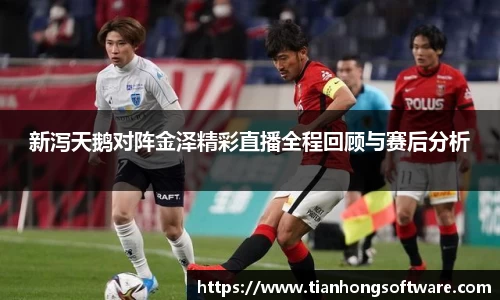 新泻天鹅对阵金泽精彩直播全程回顾与赛后分析